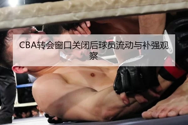 CBA转会窗口关闭后球员流动与补强观察